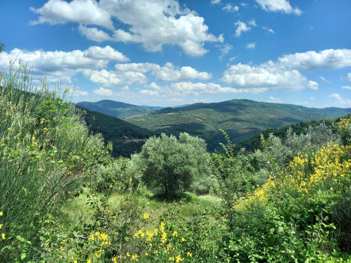 Valle Dame Cortona Ngoại thất bức ảnh