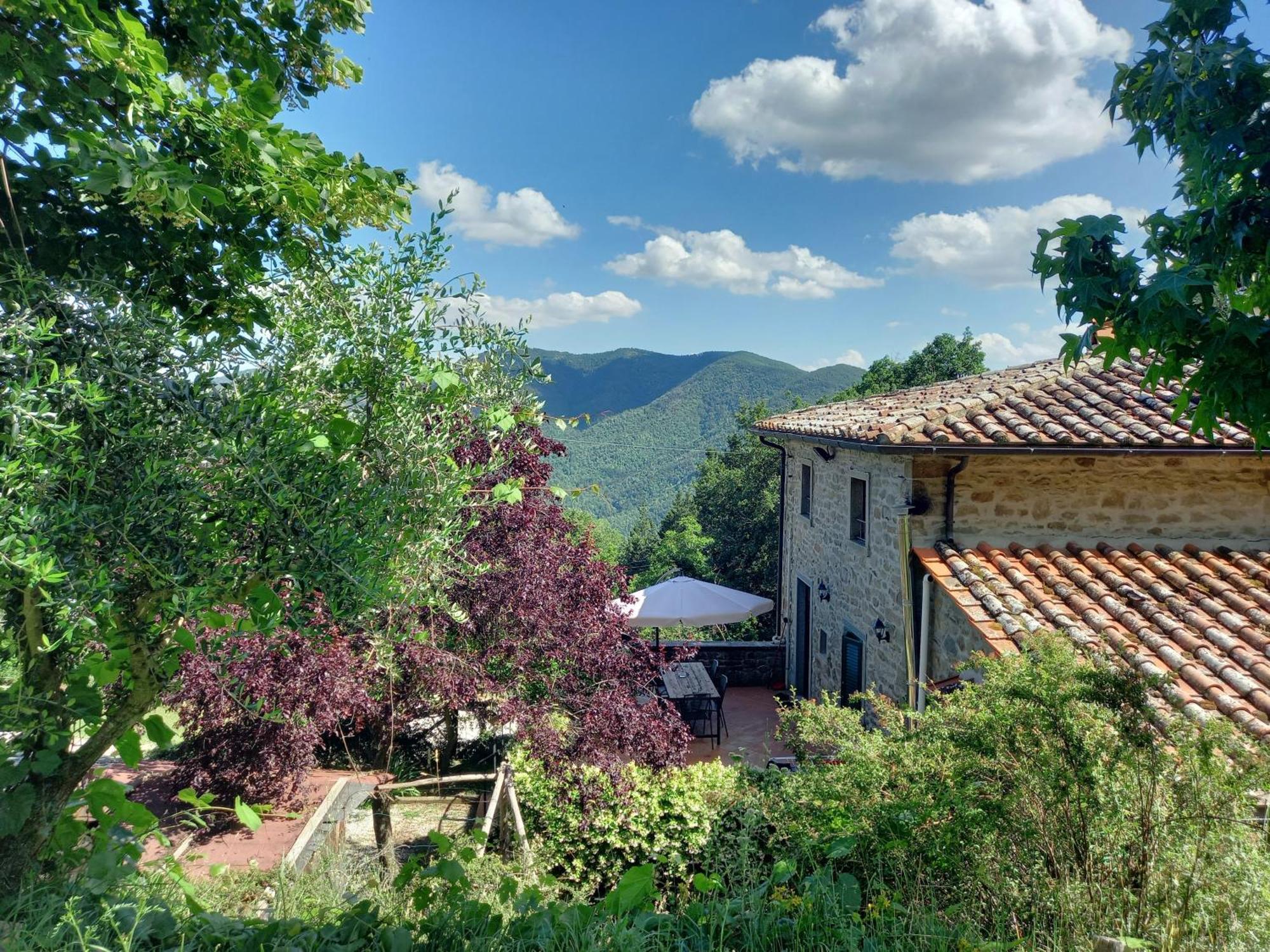 Valle Dame Cortona Ngoại thất bức ảnh