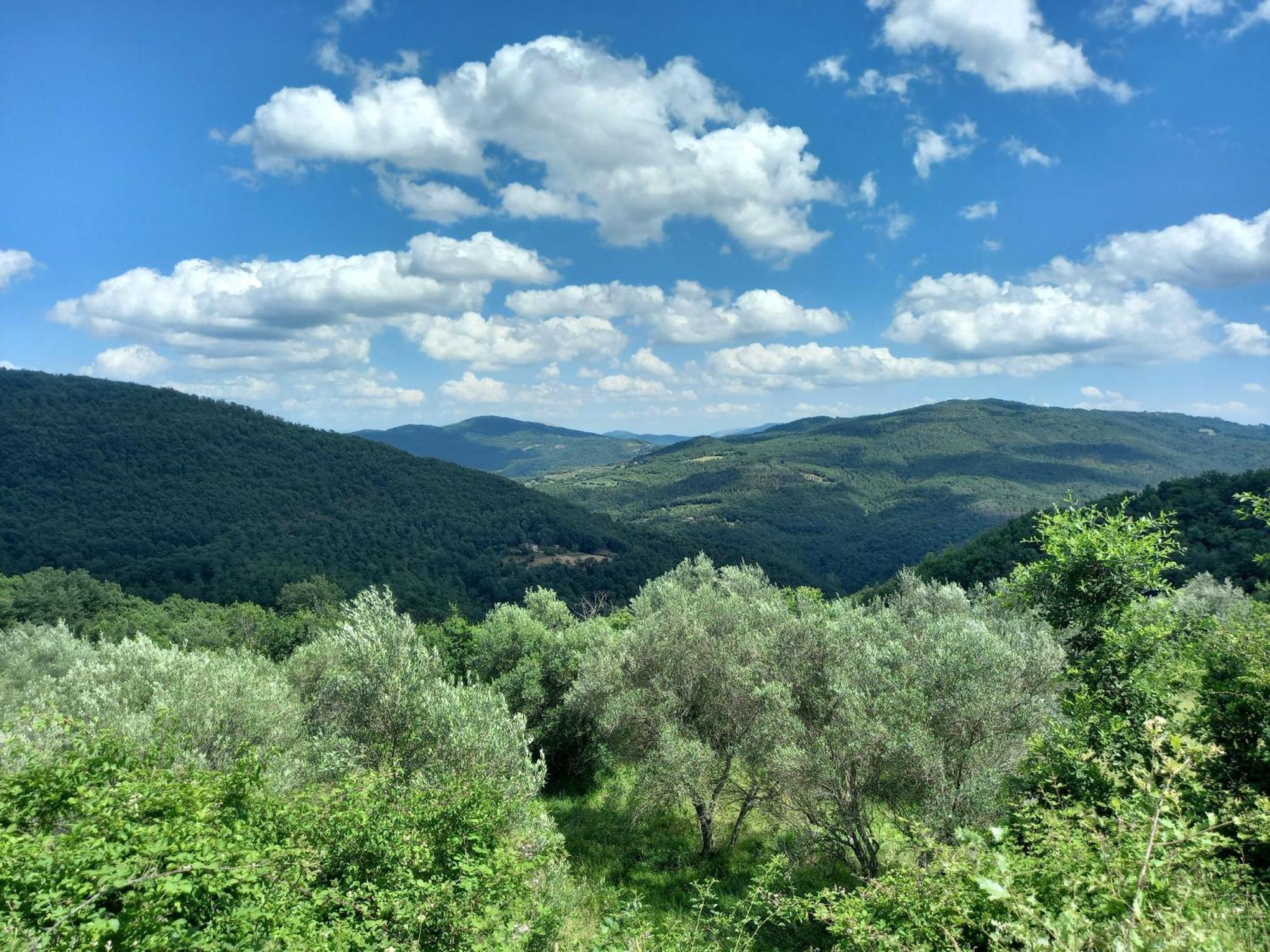 Valle Dame Cortona Ngoại thất bức ảnh