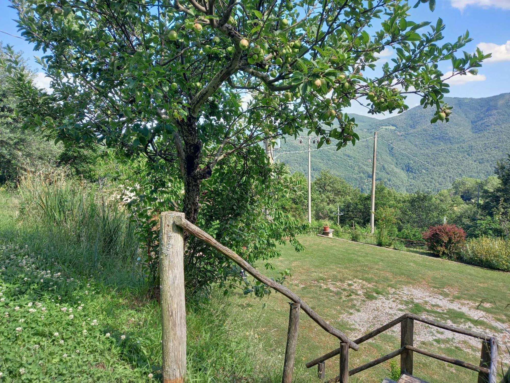 Valle Dame Cortona Ngoại thất bức ảnh