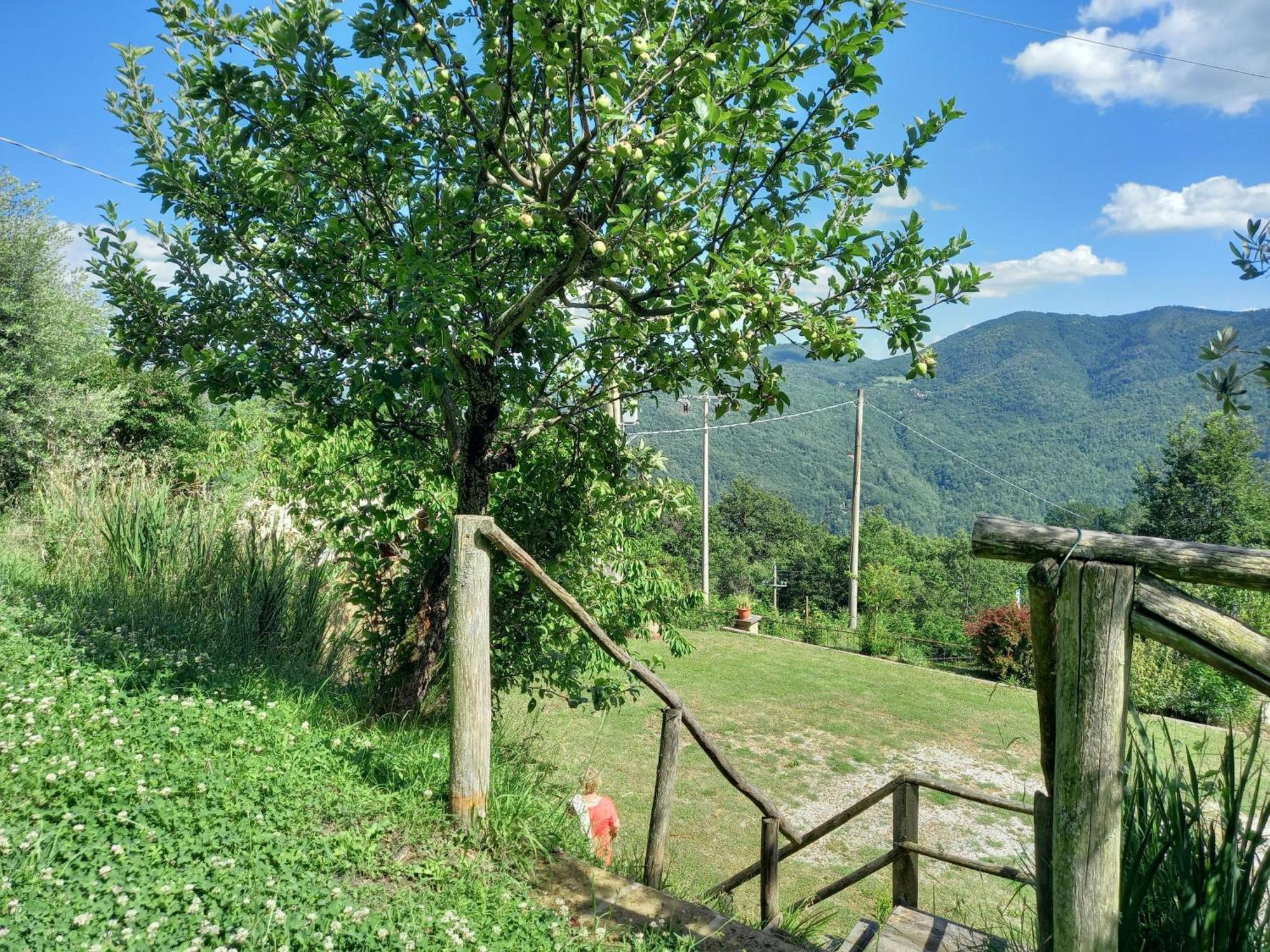 Valle Dame Cortona Ngoại thất bức ảnh